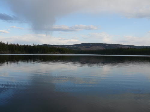 JACKPINE LAKE, British Columbia | Angler's Atlas