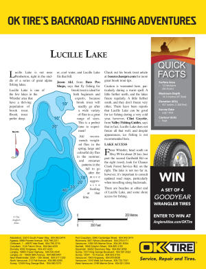 lucille lake contour shaded maps kb
