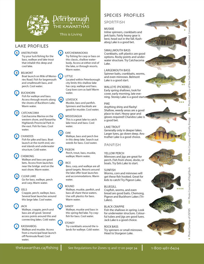 Lower Buckhorn Lake Free Maps | Angler's Atlas