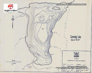 Cumming's Lake, Ontario | Angler's Atlas