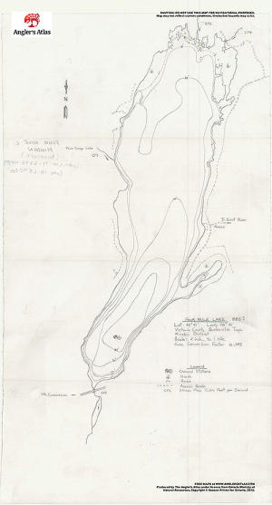 Four Mile Lake, Ontario | Angler's Atlas