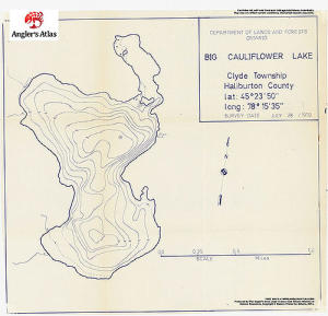 Big Cauliflower Lake, Ontario | Angler's Atlas