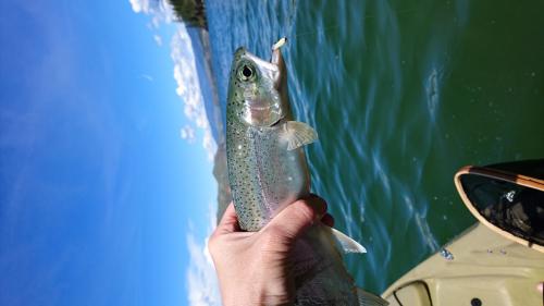 Kalamalka Lake BC Canada Kokanee Salmon #fishing #fishingtiktoks