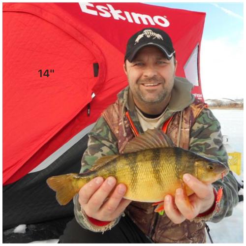 Last Mountain Lake, Saskatchewan | Angler's Atlas