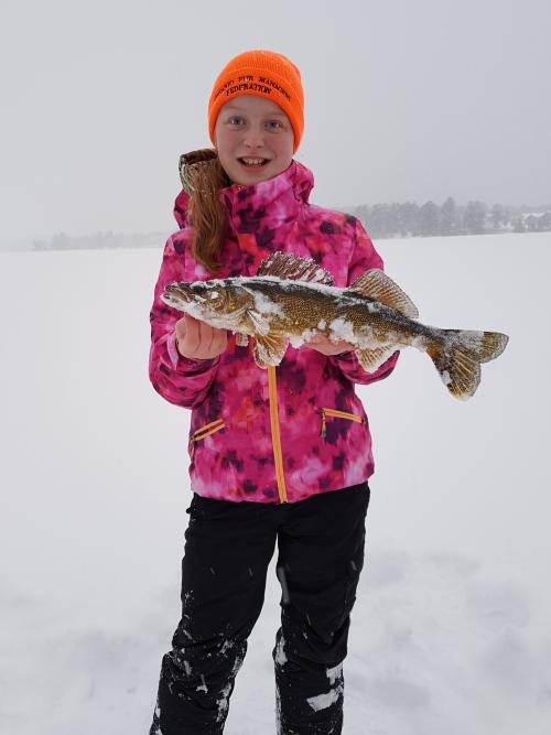 Kashagawigamog Lake, Ontario | Angler’s Atlas