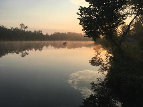 ᐅ Pamplins Pond fishing reports🎣• Colonial Heights, VA (United States)  fishing