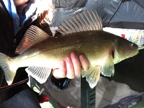 EAGLE LAKE, Alberta | Angler's Atlas