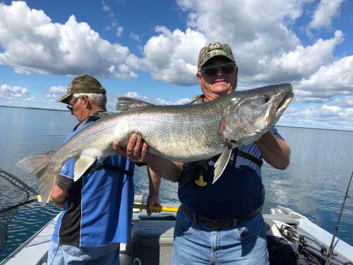 Manitoba Lake Trout