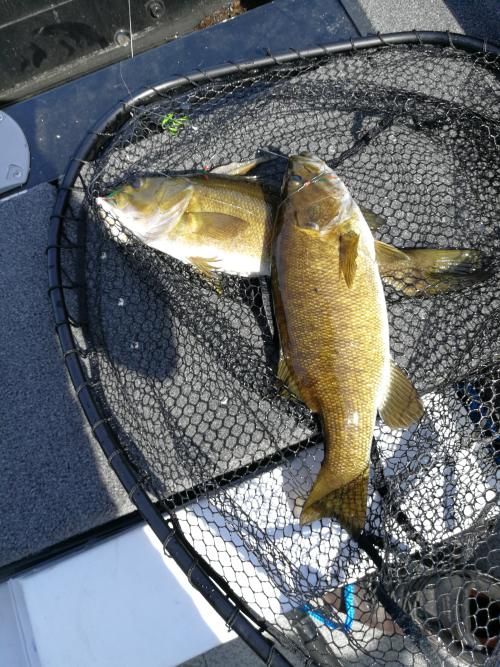 Silver Lake, Ontario | Angler's Atlas