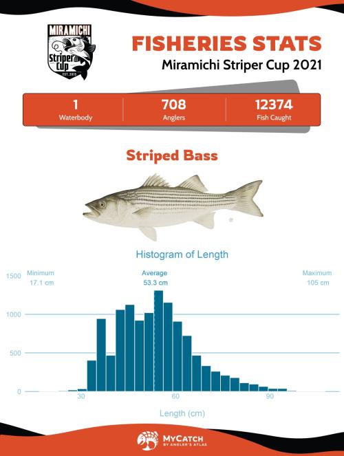 Miramichi Striped Bass 